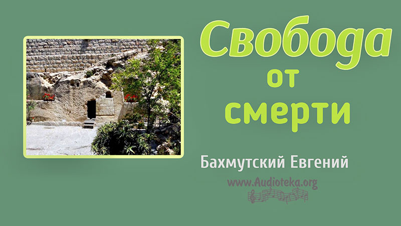 Обложка: Свобода от смерти – Евгений Бахмутский