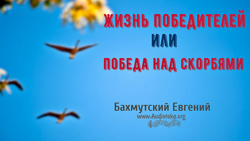 Обложка: Жизнь победителей или победа над скорбями – Евгений Бахмутский