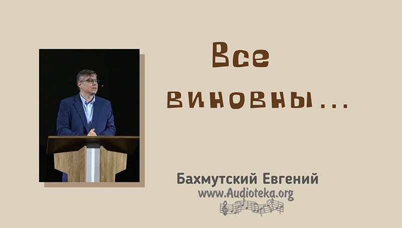 Обложка: Все виноваты – Евгений Бахмутский