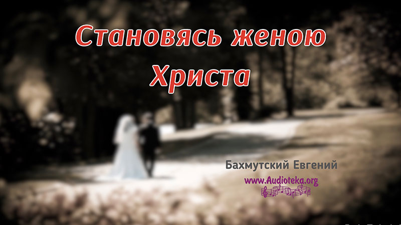 Обложка: Становясь женою Христа – Евгений Бахмутский