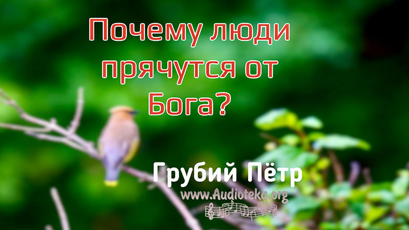 Обложка: Почему люди прячутся от Бога? – Грубий Петр