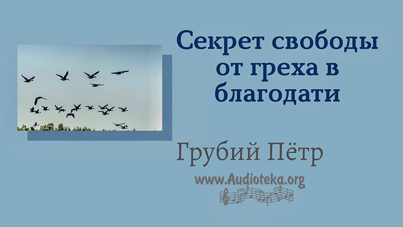 Обложка: Секрет свободы от греха в благодати – Грубий Петр