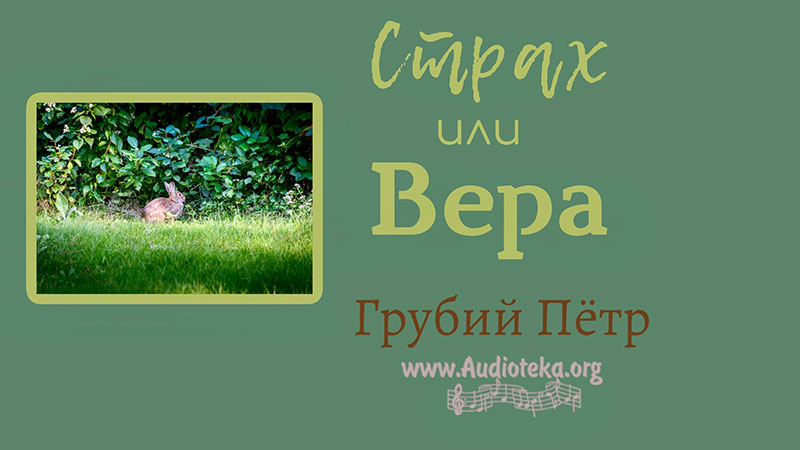 Обложка: Страх или вера – Грубий Петр