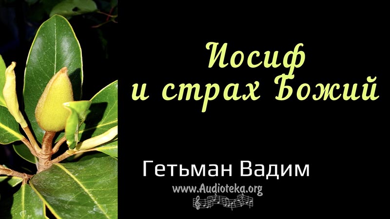 Обложка: Иосиф и страх Божий – Гетьман Вадим
