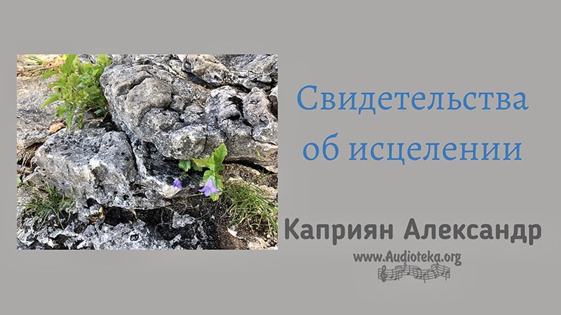 Обложка: Свидетельства об исцелении – Каприян Александр