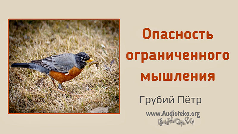 Обложка: Опасность ограниченного мышления – Грубий Петр