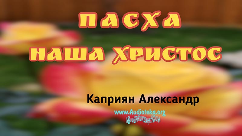 Обложка: Пасха наша Христос – Каприян Александр