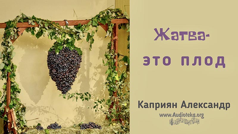 Обложка: Жатва – это плод – Каприян Александр