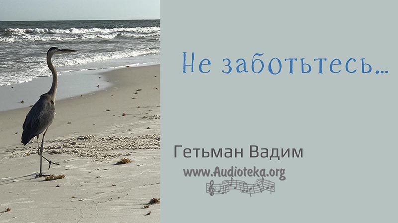 Обложка: Не заботтесь – Гетьман Вадим