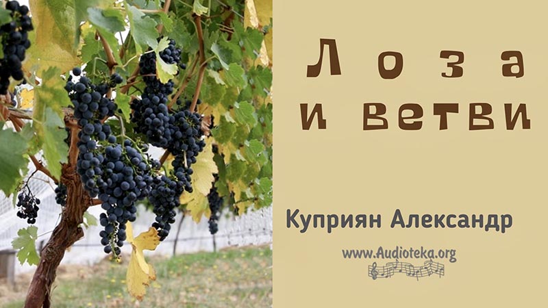 Обложка: Лоза и ветви – Каприян Александр