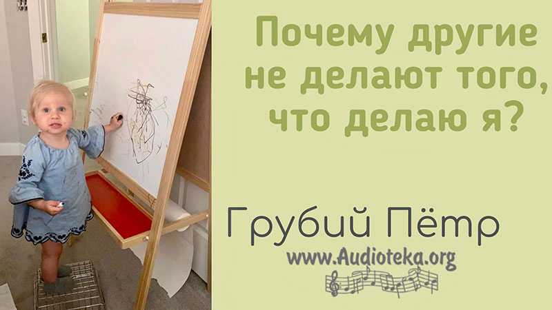 Обложка: Почему другие не делают того, что делаю я? – Грубий Петр