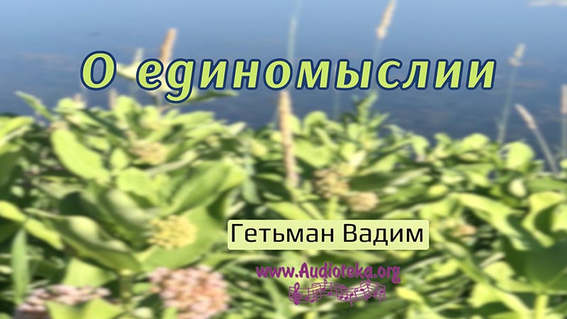 Обложка: О единомыслии – Гетьман Вадим