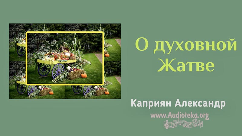 Обложка: О духовной Жатве – Каприян Александр