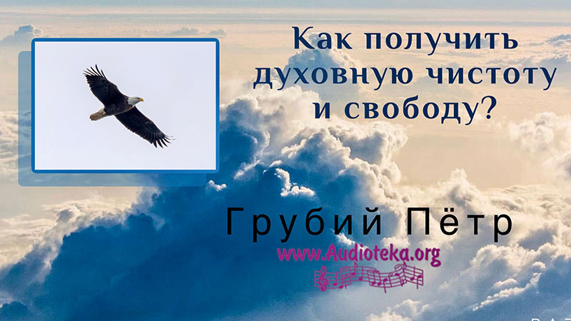 Обложка: Как получить духовную чистоту и свободу? – Грубий Петр