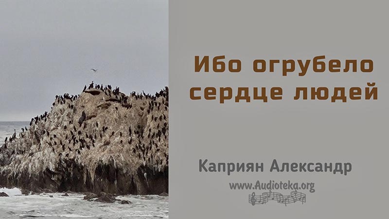 Обложка: Ибо огрубело сердце людей – Каприян Александр