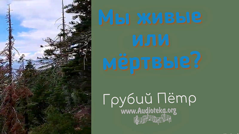 Обложка: Мы живые или мертвые? – Грубий Петр