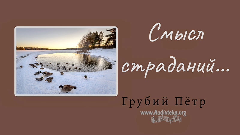 Обложка: Смысл страданий – Грубий Петр
