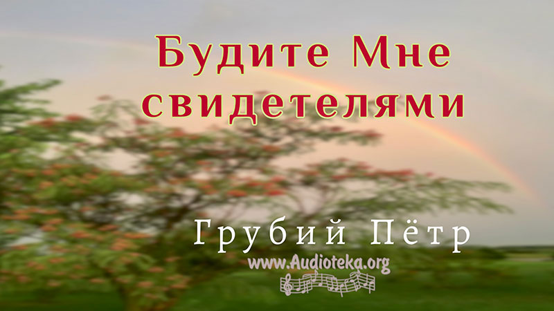 Обложка: Будете Мне свидетелями – Грубий Петр