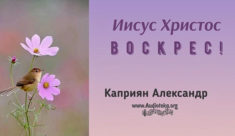 Обложка: Иисус Христос Воскрес – Каприян Александр