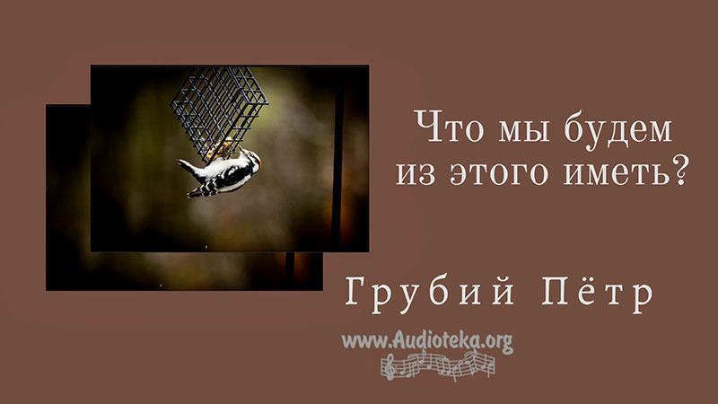 Обложка: Что мы будем из этого иметь – Грубий Петр