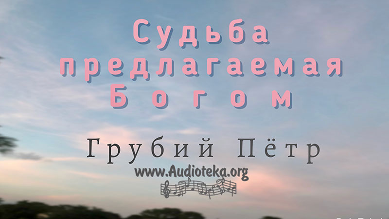 Обложка: Судьба предлагаемая Богом – Грубий Петр