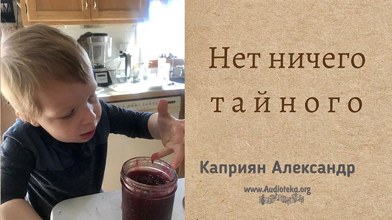 Обложка: Нет ничего тайного – Каприян Александр
