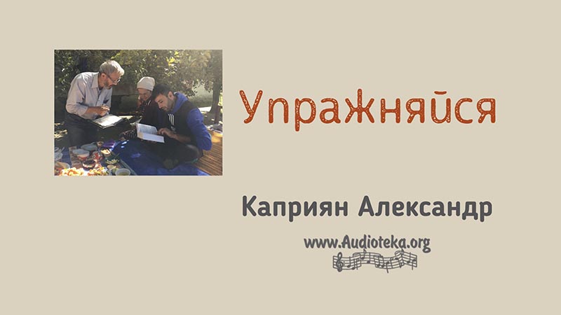 Обложка: Упражняйся – Каприян Александр