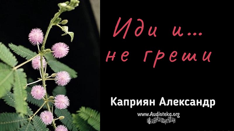 Обложка: Иди и … не греши – Каприян Александр