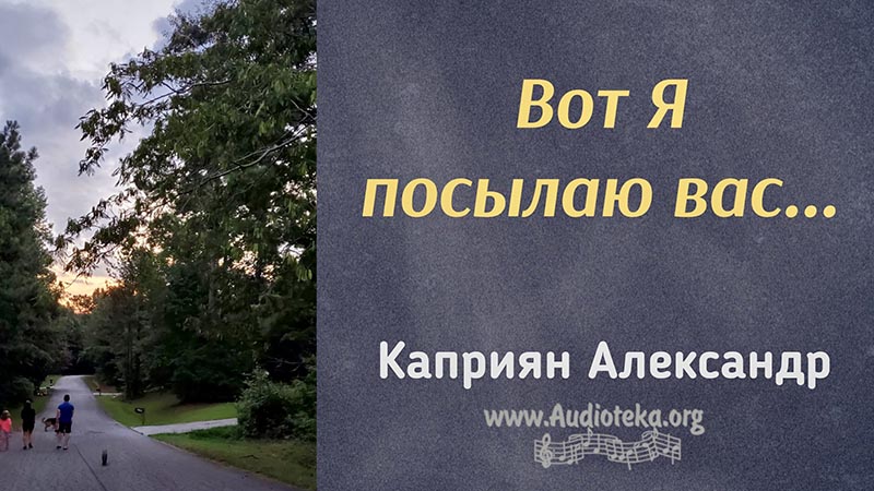 Обложка: Вот Я посылаю вас – Каприян Александр