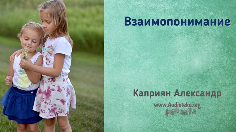Обложка: Взаимопонимание – Каприян Александр