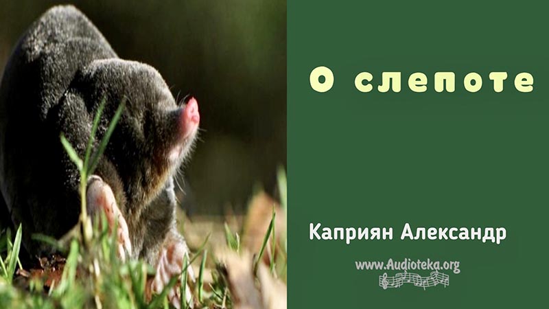 Обложка: О слепоте – Каприян Александр