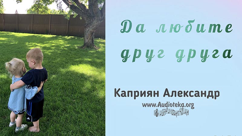 Обложка: Да любите друг друга – Каприян Александр