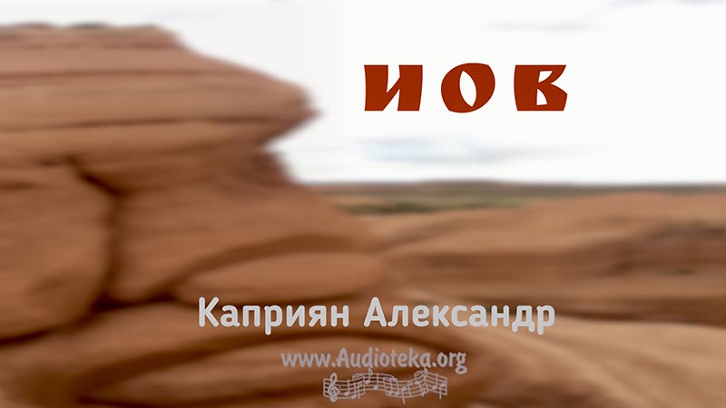 Обложка: Иов – Каприян Александр