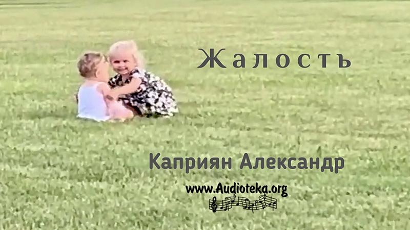 Обложка: Жалость – Каприян Александр