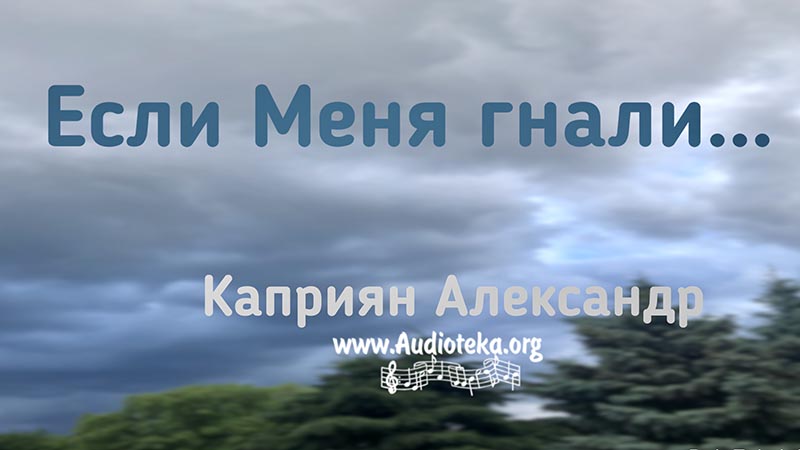 Обложка: Если меня гнали… – Каприян Александр