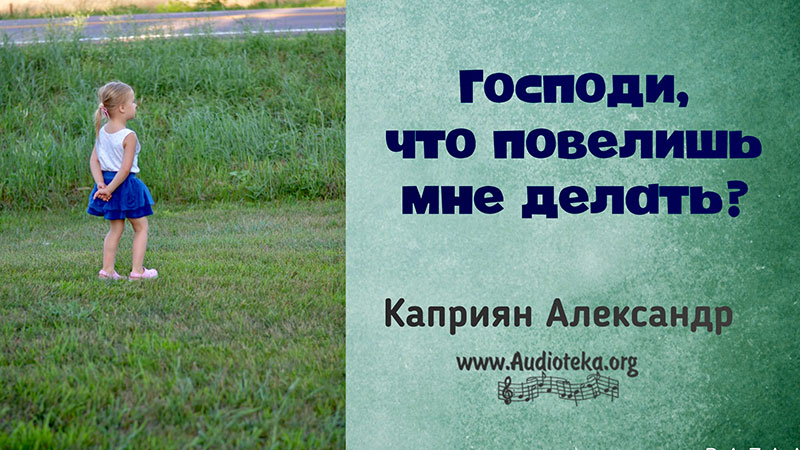 Обложка: Господи, что повелишь мне делать? – Каприян Александр