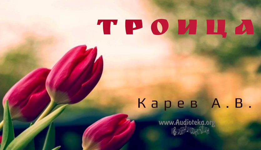 Обложка: Троица – Карев А. В.