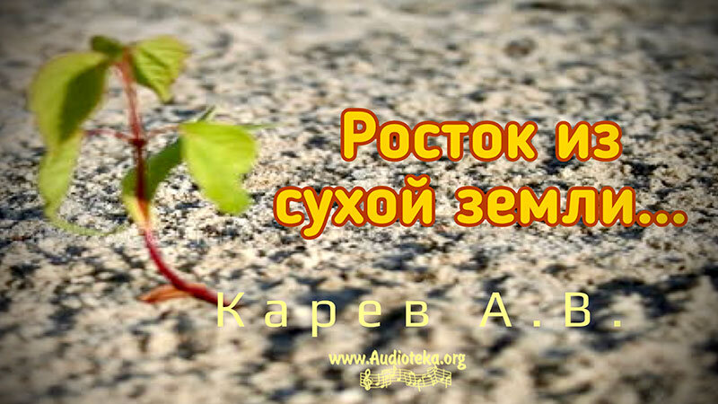 Обложка: Росток из сухой земли – Карев А. В.