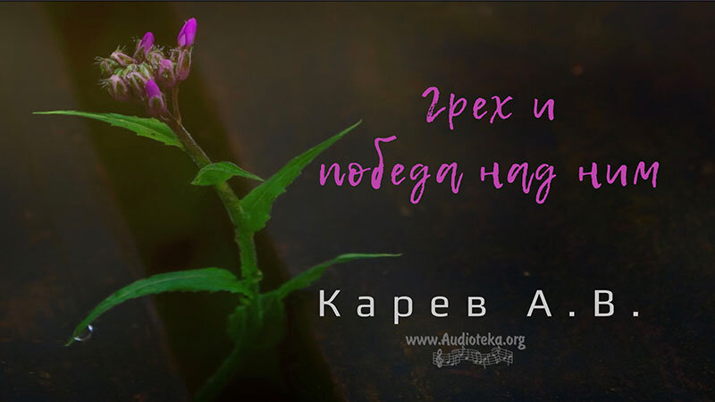 Обложка: Грех и победа над ним – Карев А. В.