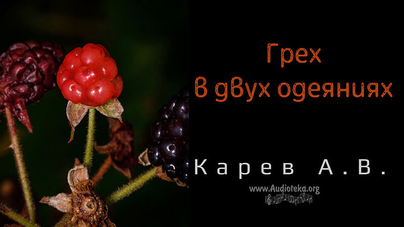 Обложка: Грех в двух одеяниях – Карев А. В.
