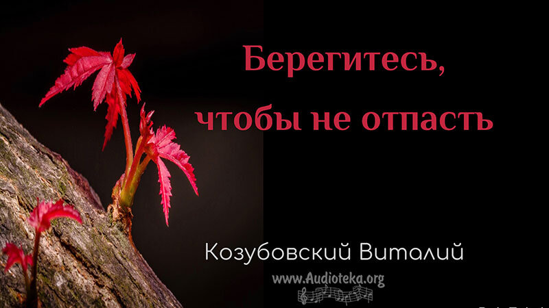 Обложка: Берегитесь, чтобы не отпасть – Виталий Козубовский