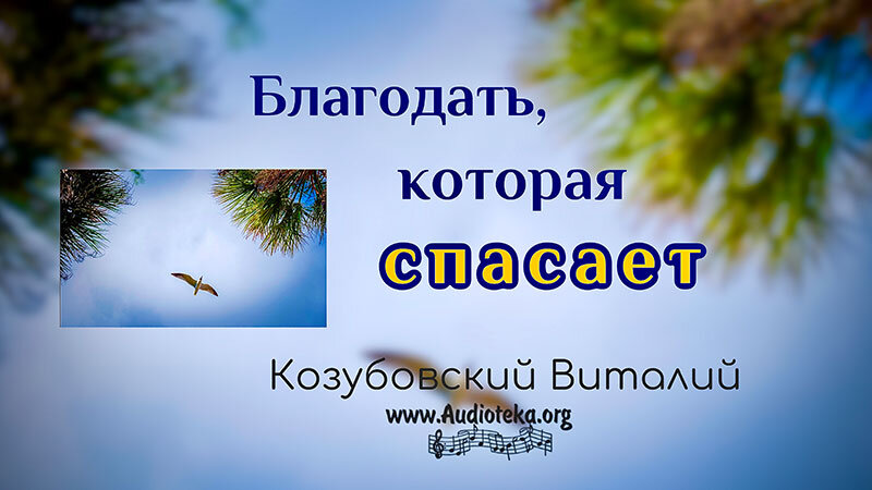 Обложка: Благодать, которая спасает – Козубовский Виталий