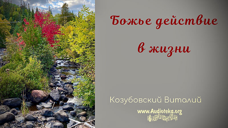 Обложка: Божье действие в жизни – Виталий Козубовский