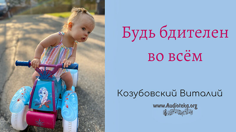 Обложка: Будь бдителен во всем – Виталий Козубовский