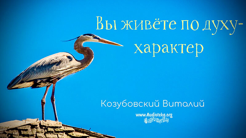 Обложка: Вы живете по духу – Характер – Виталий Козубовский