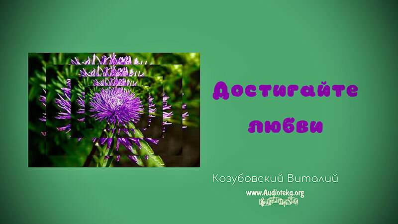 Обложка: Достигайте любви – Виталий Козубовский