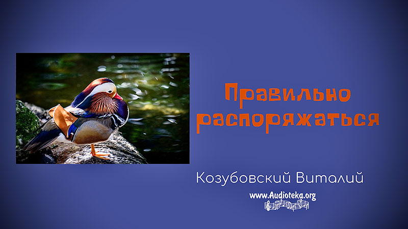 Обложка: Правильно распоряжаться – Виталий Козубовский
