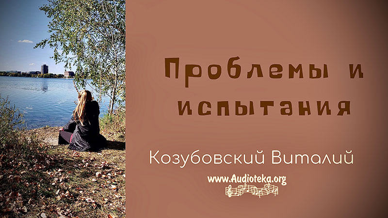 Обложка: Проблемы и испытания – Виталий Козубовский