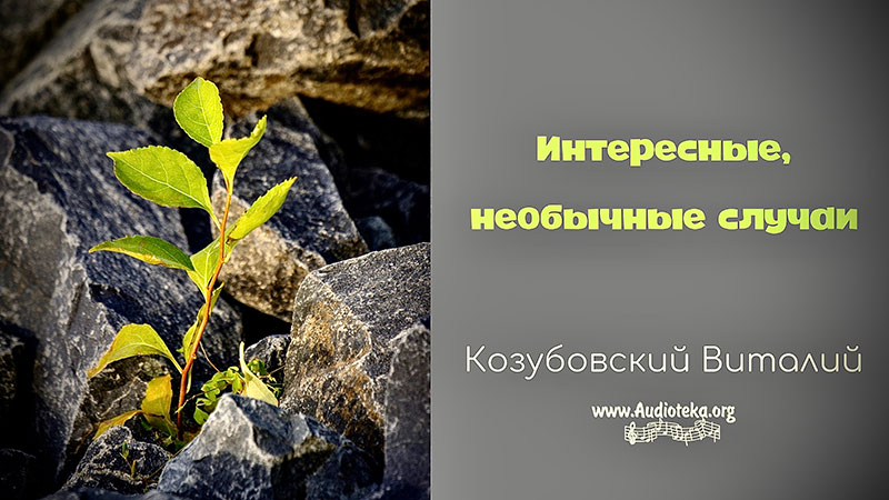 Обложка: Интересные, необычные случаи – Виталий Козубовский