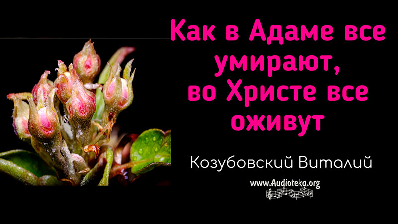 Обложка: Как в Адаме все умирают, во Христе все оживут -Виталий Козубовский